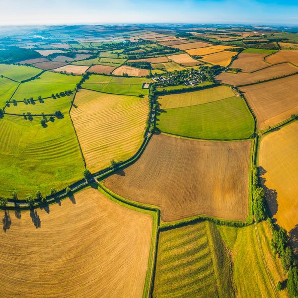 Farmland von oben