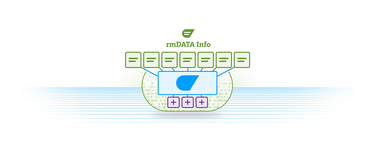 Grafische Illustration einer Daten-Info-Oberfläche: Oben das rmDATA Info-Logo, darunter grüne Symbolleisten. In der Mitte ein Gerät mit blauem Bildschirm und unten violette Plus-/Minus-Tasten; Hintergrund mit horizontalen blauen Linien.