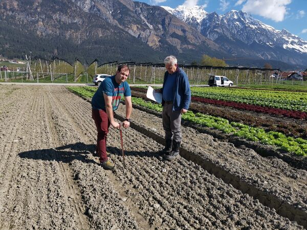 Zwei Männer arbeiten in einem Feld mit Reihen von Gemüsebeeten; einer gräbt mit einer Hacke, der andere hält Unterlagen. Im Hintergrund ragen Berge in klarem Himmel, und zwischen den Beeten erkennt man weitere Felder.