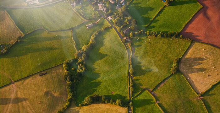 Vue aérienne d'un paysage rural en patchwork: champs séparés par des haies et des arbres, avec quelques fermes et chemins reliant les parcelles; lumière rasante qui éclaire les surfaces vertes et brunes.
